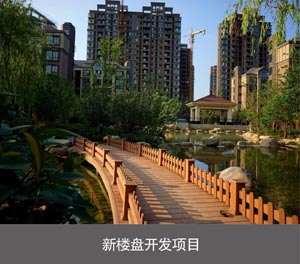 2层简易类机械式停车位新楼盘开发项目