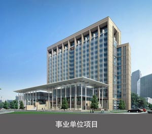 2层简易类机械式停车位事业单位项目